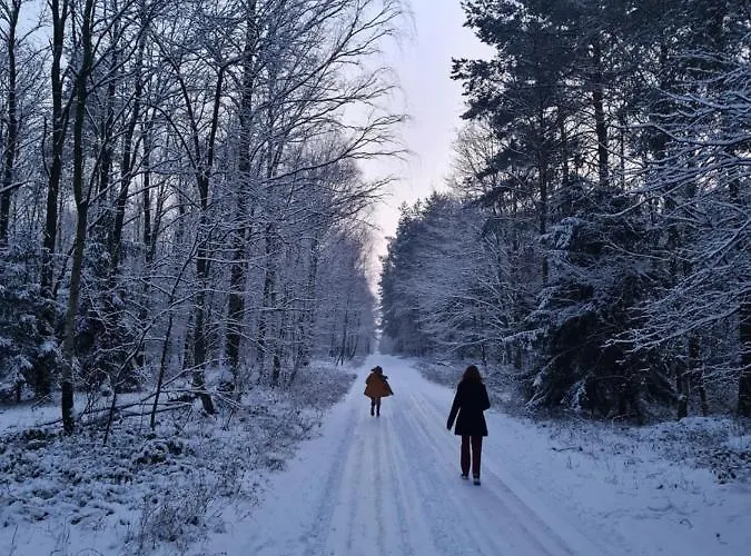 Domki Anastazewo * Anastazewo